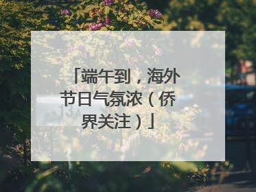 端午到，海外节日气氛浓（侨界关注）