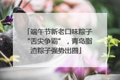 端午节新老口味粽子“舌尖争霸”，青岛脂渣粽子强势出圈