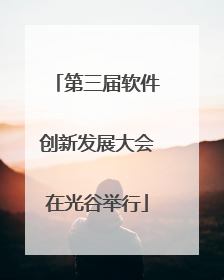 第三届软件创新发展大会在光谷举行