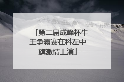 第二届成峰杯牛王争霸赛在科左中旗激情上演