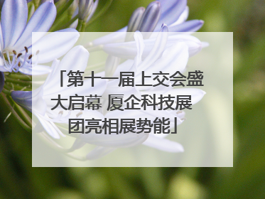 第十一届上交会盛大启幕 厦企科技展团亮相展势能