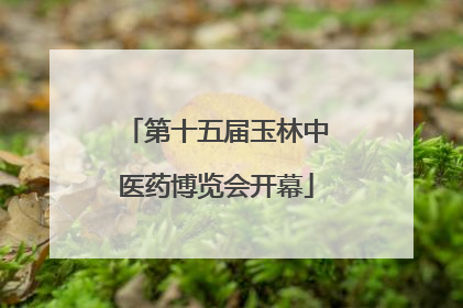 第十五届玉林中医药博览会开幕