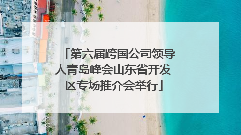 第六届跨国公司领导人青岛峰会山东省开发区专场推介会举行
