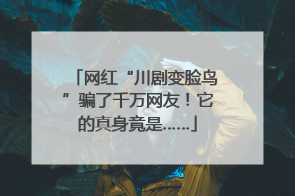 网红“川剧变脸鸟”骗了千万网友！它的真身竟是……