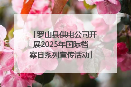 罗山县供电公司开展2025年国际档案日系列宣传活动