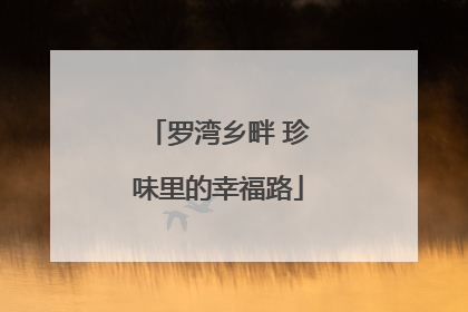罗湾乡畔 珍味里的幸福路