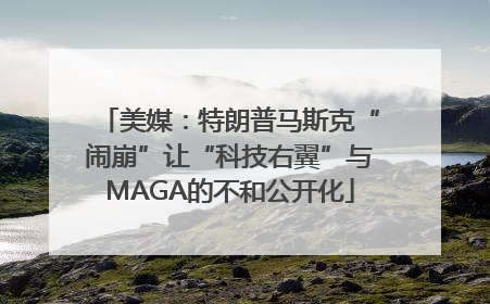 美媒：特朗普马斯克“闹崩”让“科技右翼”与MAGA的不和公开化
