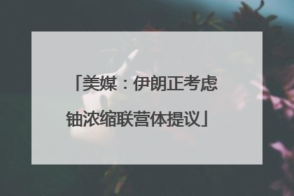 美媒：伊朗正考虑铀浓缩联营体提议