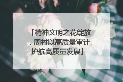 精神文明之花绽放，周村以高质量审计护航高质量发展