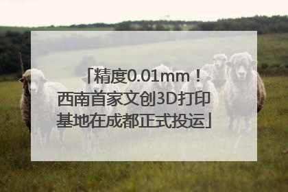 精度0.01mm！西南首家文创3D打印基地在成都正式投运