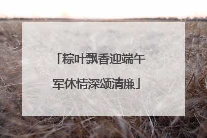 粽叶飘香迎端午 军休情深颂清廉
