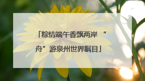 粽情端午香飘两岸 “舟”游泉州世界瞩目