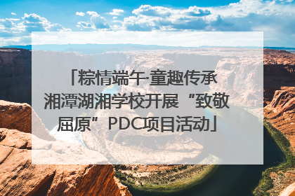 粽情端午·童趣传承 湘潭湖湘学校开展“致敬屈原”PDC项目活动