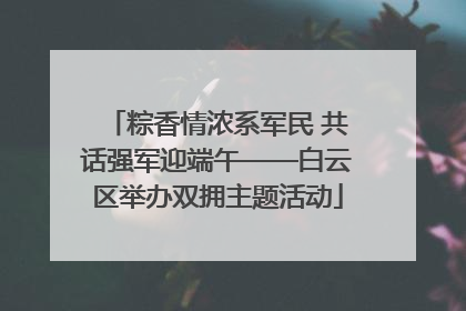 粽香情浓系军民 共话强军迎端午——白云区举办双拥主题活动