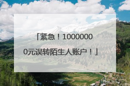 紧急！10000000元误转陌生人账户！
