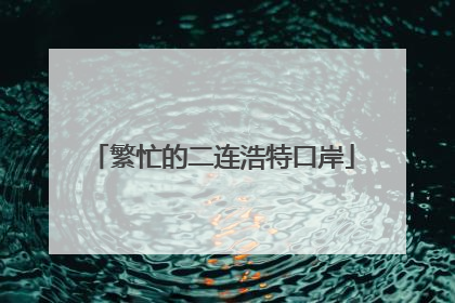 繁忙的二连浩特口岸