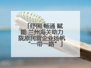 纾困 畅通 赋能 兰州海关助力陇原民营企业扬帆“一带一路”