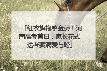 红衣旗袍擎金葵！河南高考首日，家长花式送考藏满爱与盼