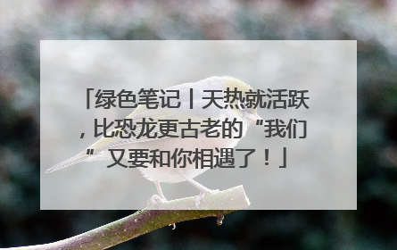 绿色笔记丨天热就活跃，比恐龙更古老的“我们”又要和你相遇了！