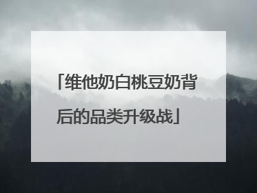 维他奶白桃豆奶背后的品类升级战