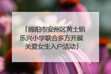 绵阳市安州区黄土镇乐兴小学联合多方开展关爱女生入户活动