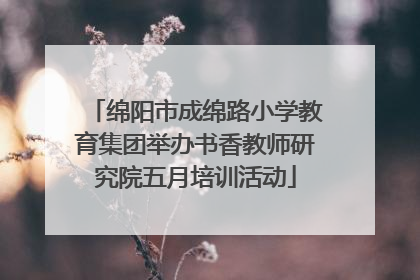绵阳市成绵路小学教育集团举办书香教师研究院五月培训活动