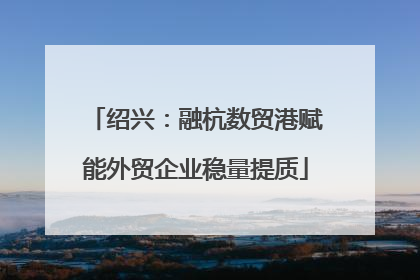 绍兴：融杭数贸港赋能外贸企业稳量提质