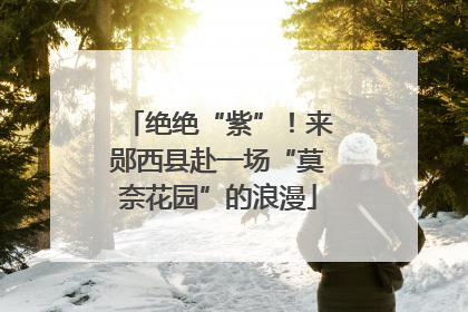绝绝“紫”！来郧西县赴一场“莫奈花园”的浪漫