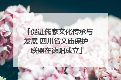 促进儒家文化传承与发展 四川省文庙保护联盟在德阳成立