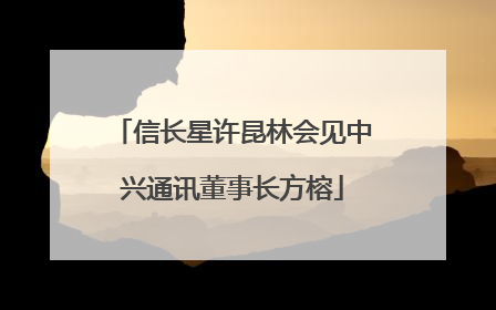 信长星许昆林会见中兴通讯董事长方榕