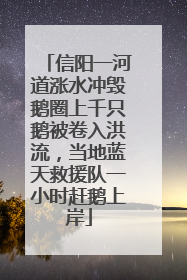 信阳一河道涨水冲毁鹅圈上千只鹅被卷入洪流，当地蓝天救援队一小时赶鹅上岸