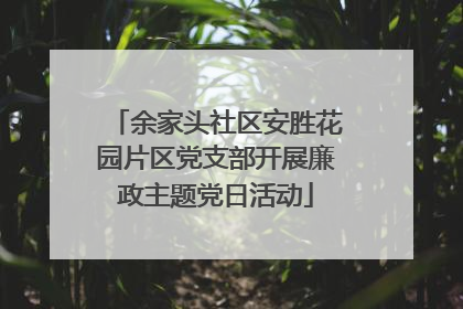 余家头社区安胜花园片区党支部开展廉政主题党日活动