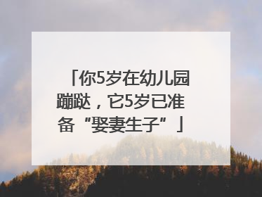 你5岁在幼儿园蹦跶，它5岁已准备“娶妻生子”