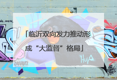 临沂双向发力推动形成“大监督”格局