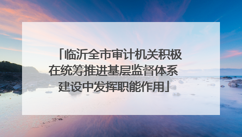 临沂全市审计机关积极在统筹推进基层监督体系建设中发挥职能作用