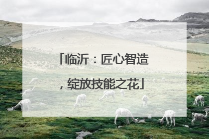 临沂：匠心智造，绽放技能之花