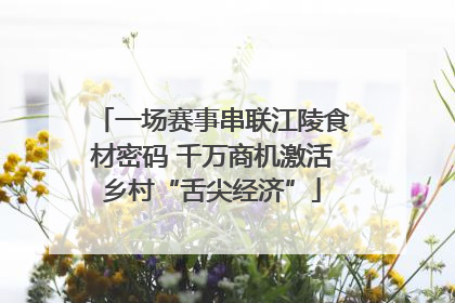 一场赛事串联江陵食材密码 千万商机激活乡村“舌尖经济”