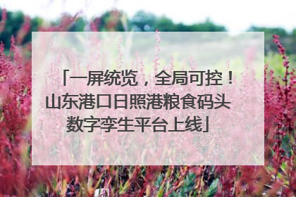一屏统览，全局可控！山东港口日照港粮食码头数字孪生平台上线
