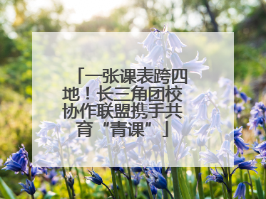 一张课表跨四地！长三角团校协作联盟携手共育“青课”