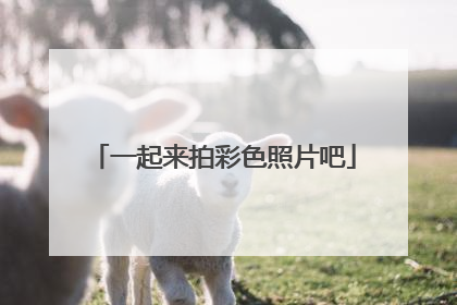 一起来拍彩色照片吧
