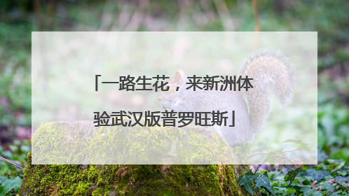 一路生花，来新洲体验武汉版普罗旺斯