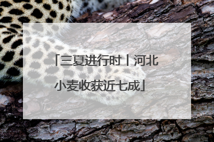 三夏进行时丨河北小麦收获近七成