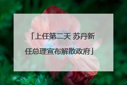 上任第二天 苏丹新任总理宣布解散政府