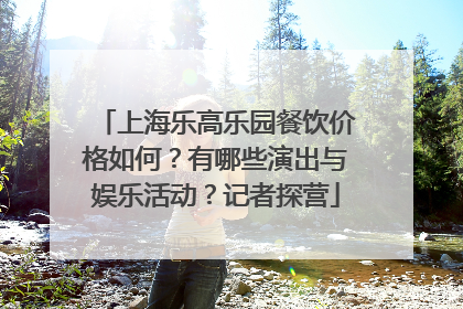 上海乐高乐园餐饮价格如何？有哪些演出与娱乐活动？记者探营