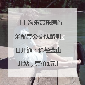 上海乐高乐园首条配套公交线路明日开通：途经金山北站，票价1元
