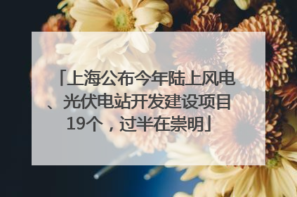 上海公布今年陆上风电、光伏电站开发建设项目19个，过半在崇明