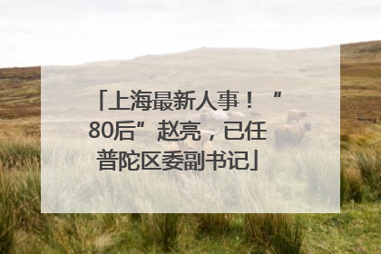上海最新人事！“80后”赵亮，已任普陀区委副书记
