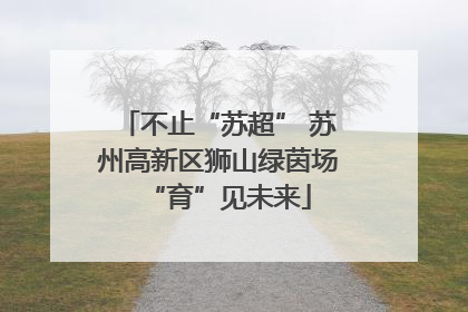 不止“苏超” 苏州高新区狮山绿茵场“育”见未来