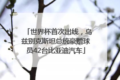 世界杯首次出线，乌兹别克斯坦总统豪赠球员42台比亚迪汽车