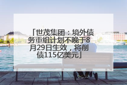 世茂集团：境外债务重组计划不晚于8月29日生效，将削债115亿美元